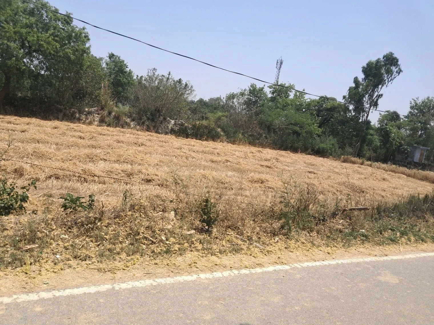 M5R2+94 Mainuddinpur, Uttar Pradesh, India