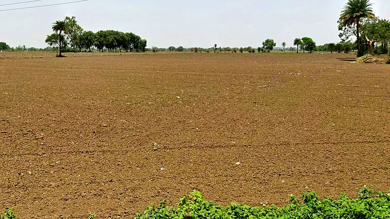 Sunera, Madhya Pradesh 465001, India preview 3