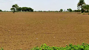 Sunera, Madhya Pradesh 465001, India preview 3