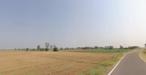 PWV2+92 Valla, Gujarat, India preview 3