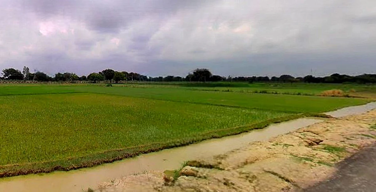 Barsana, Uttar Pradesh 281405, India