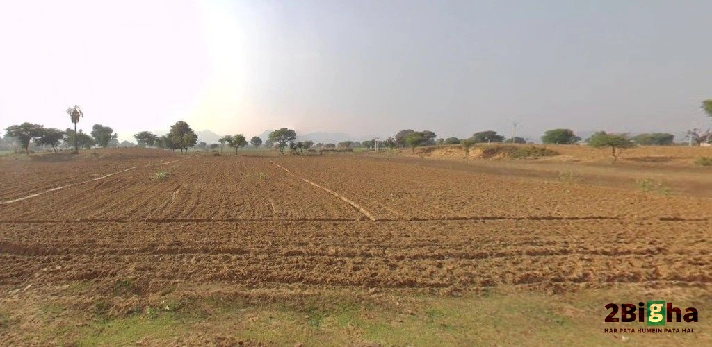 Sargoth, Rajasthan 332404, India