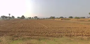 Sargoth, Rajasthan 332404, India preview 2