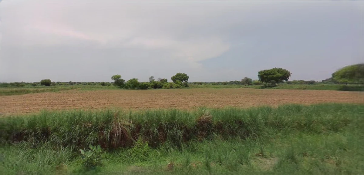 Sonipat, Haryana, India