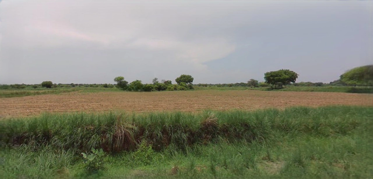 Sonipat, Haryana, India