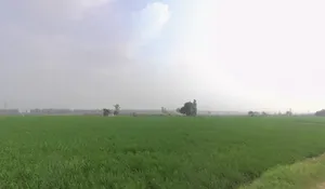 Khatra Chuharm, Punjab 141118, India preview 2