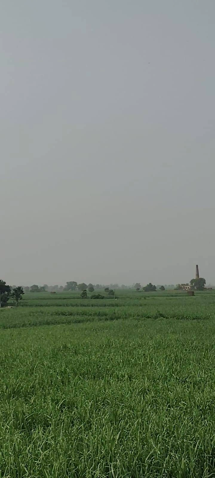 3C3R+3Q Jainuddinpur Chirchiya, Uttar Pradesh, India