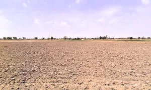 Hansi, Haryana 125033, India preview 3