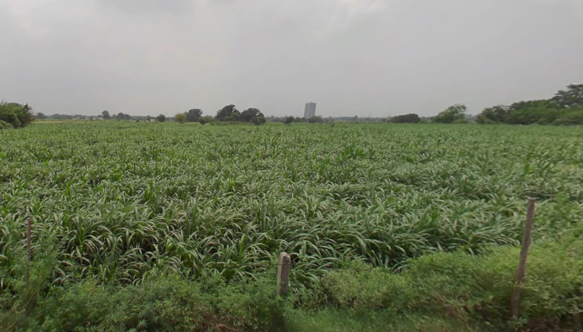 RPJM+G2Q, Paroul, Punjab 140901, India