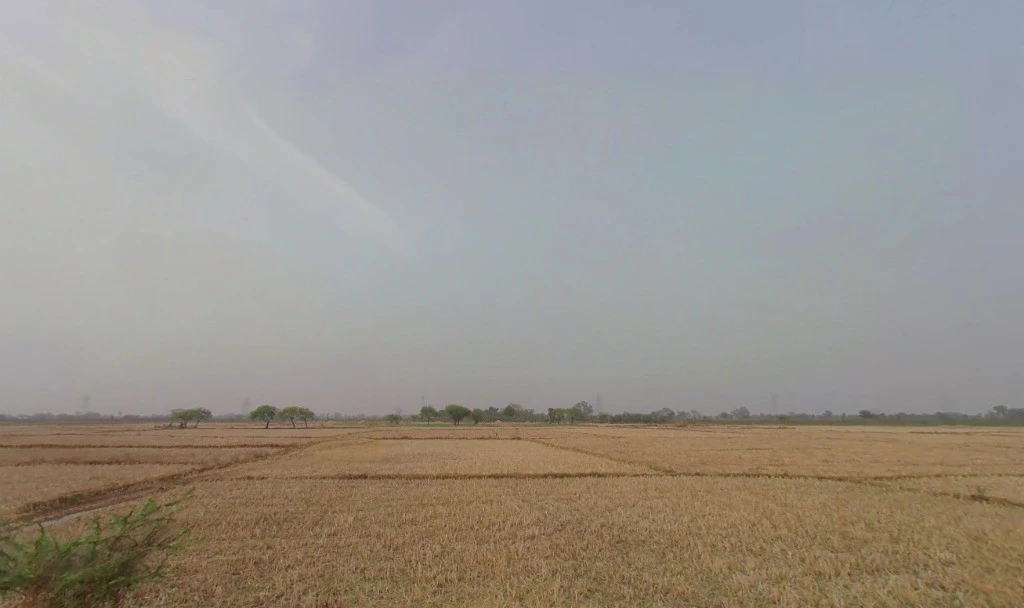 Pachpedi, Chhattisgarh 495551, India