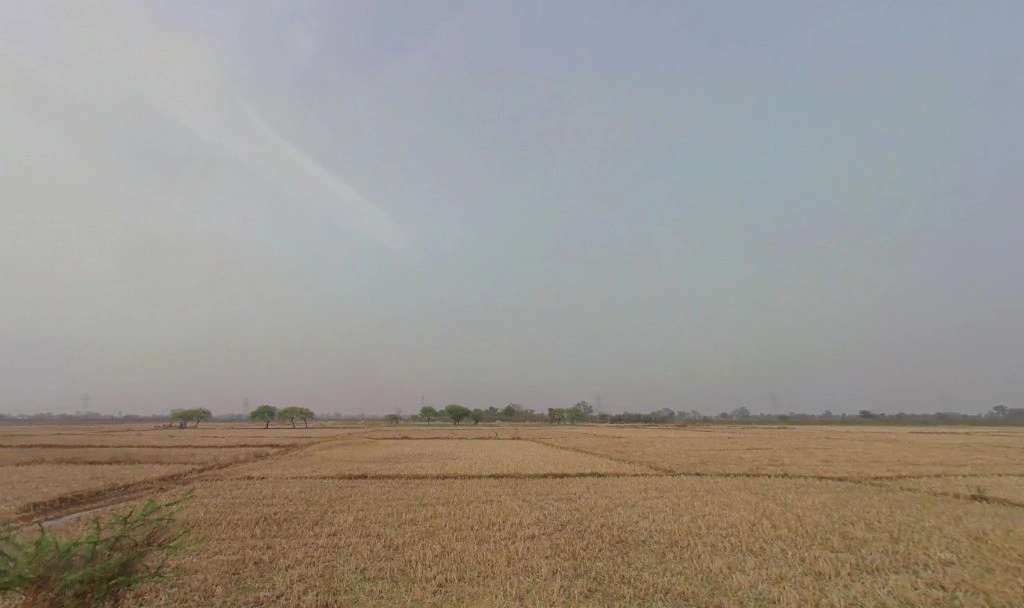 Pachpedi, Chhattisgarh 495551, India