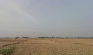 Pachpedi, Chhattisgarh 495551, India preview 2