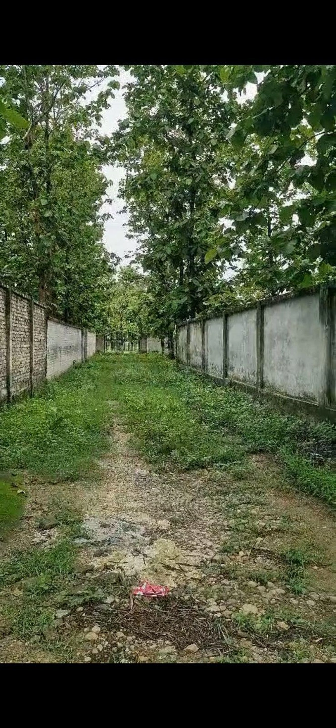 Ganeshpur, Uttar Pradesh 247662, India