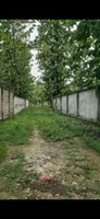 Ganeshpur, Uttar Pradesh 247662, India preview 2