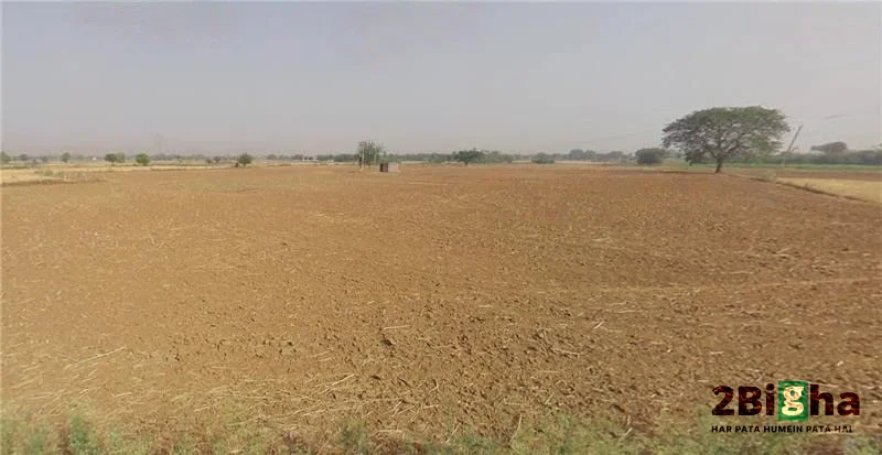 Tijara, Rajasthan 301411, India preview 2