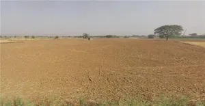 Tijara, Rajasthan 301411, India preview 2