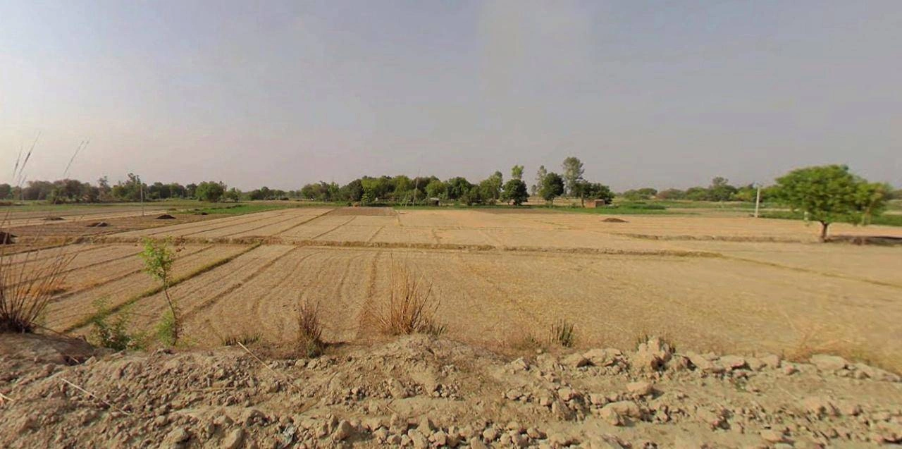 Barnagar, Madhya Pradesh 456771, India