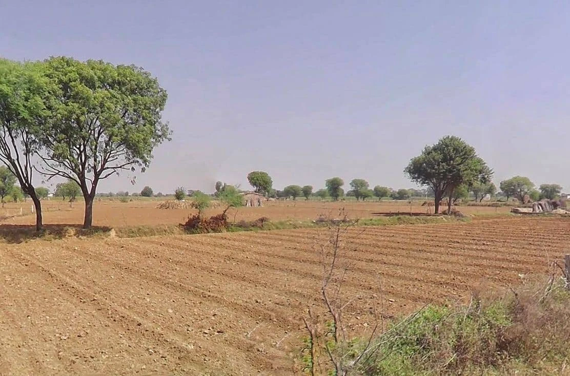 JF3C+X9V, Rundh Sundarwas, Rajasthan, India