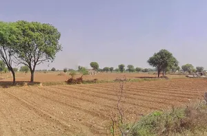 JF3C+X9V, Rundh Sundarwas, Rajasthan, India preview 3