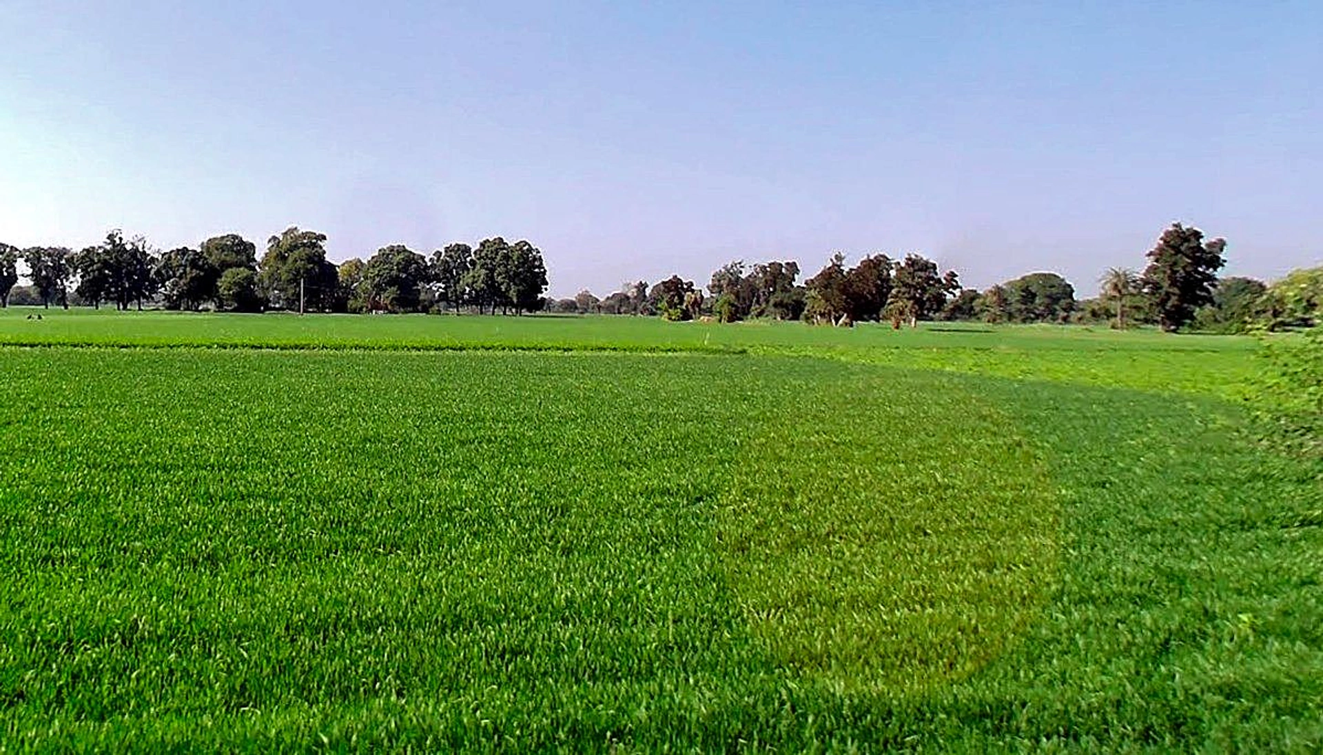 Tonk Khurd, Madhya Pradesh 455116, India