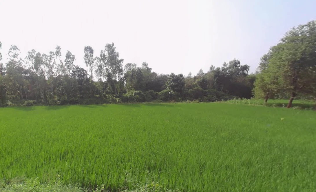 Raipur, Uttar Pradesh 247121, India
