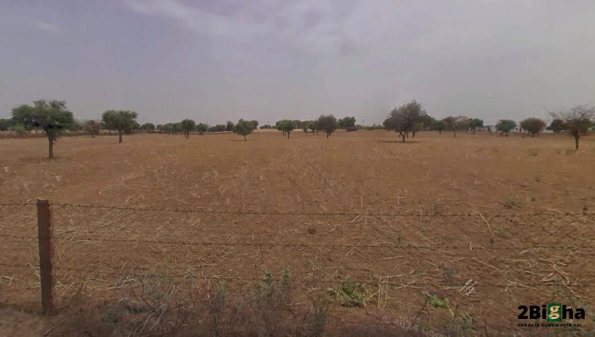 Khatauli, Uttar Pradesh 251201, India