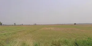 Nayagaon, Bihar 841217, India preview 5