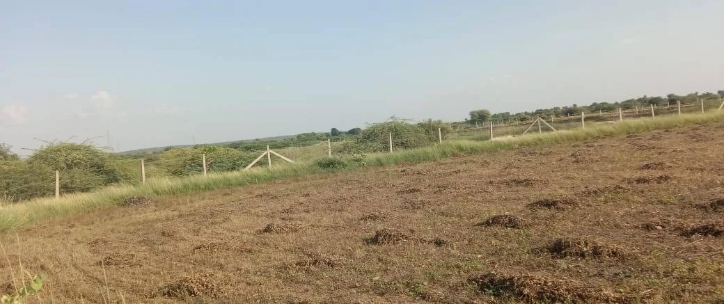 Salgyawas, Rajasthan, India