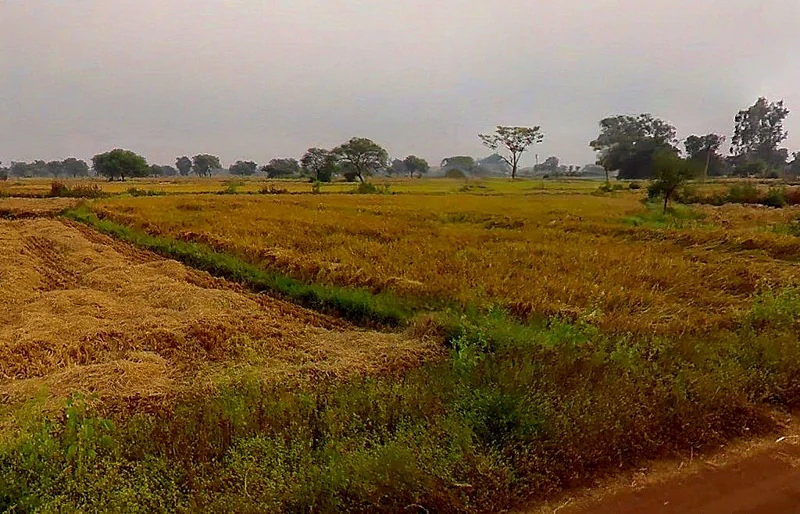 Baktara-2, Chhattisgarh 493661, India preview 2