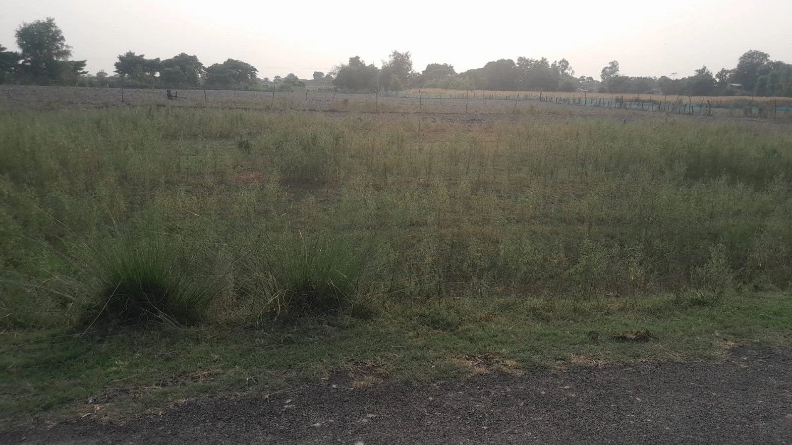 P653+73 Sukkha Pur Etaura, Uttar Pradesh, India