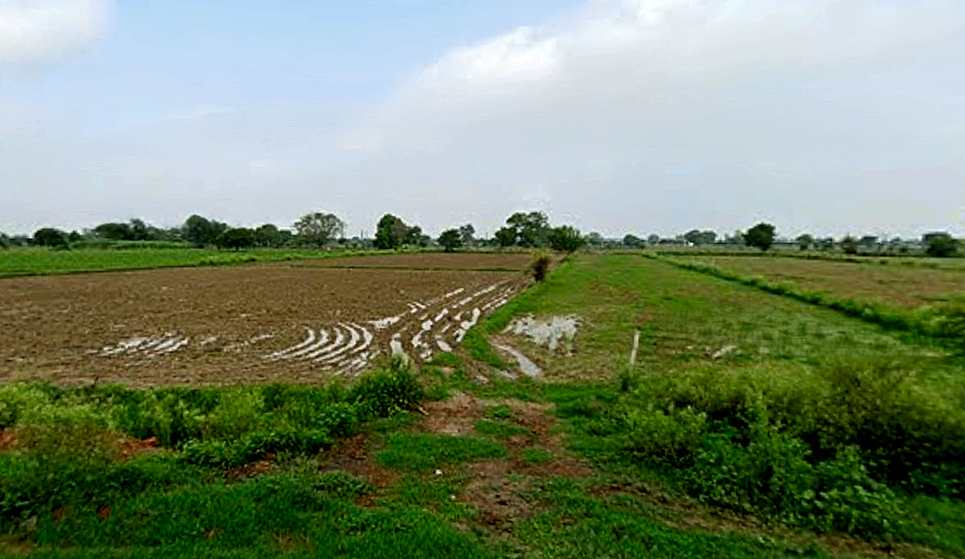 Auhawa Bangar, Uttar Pradesh, India