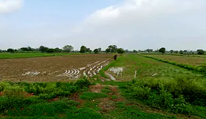 Auhawa Bangar, Uttar Pradesh, India preview 2