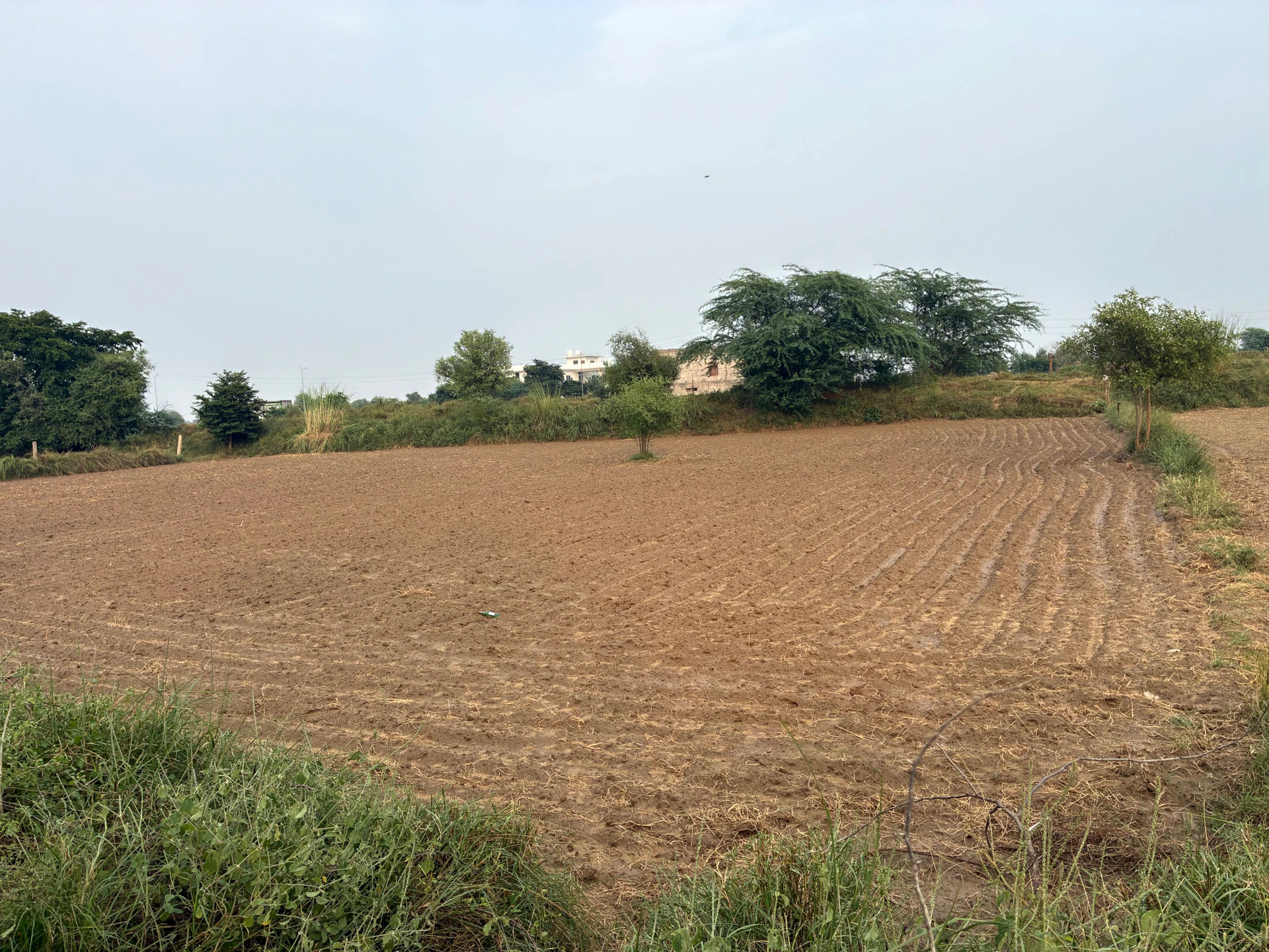 Deeg, Rajasthan