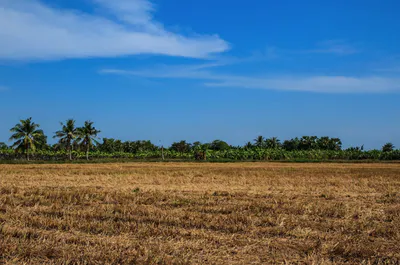 Maynaguri, West Bengal 735224, India preview 2