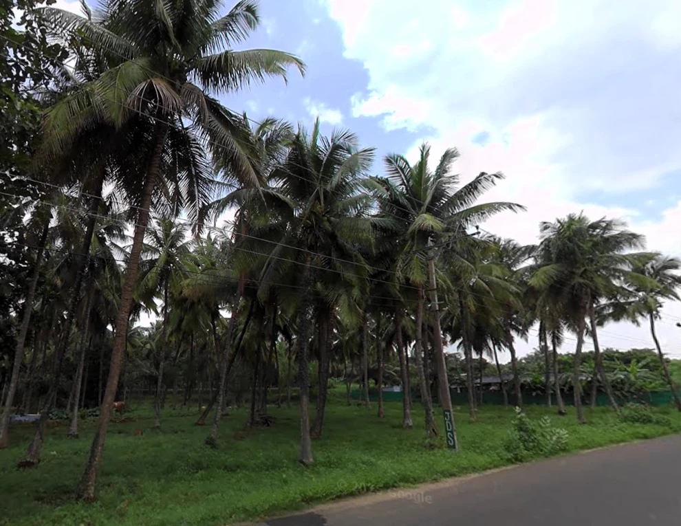 203, Palakkad - Koduvayur - Meenakshipuram Hwy, Meenakshipuram, Tamil Nadu 642103, India