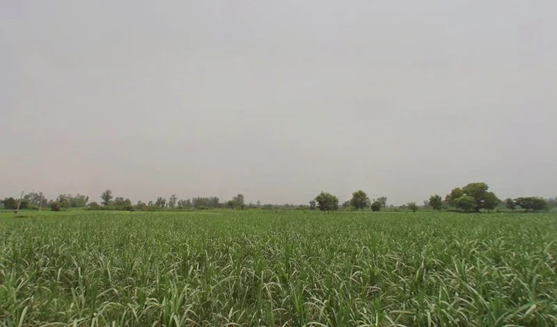 Bhawanpur, Uttar Pradesh, India preview 3