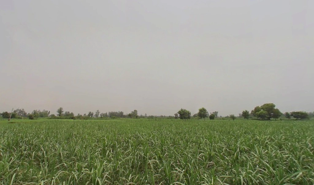 Bhawanpur, Uttar Pradesh, India