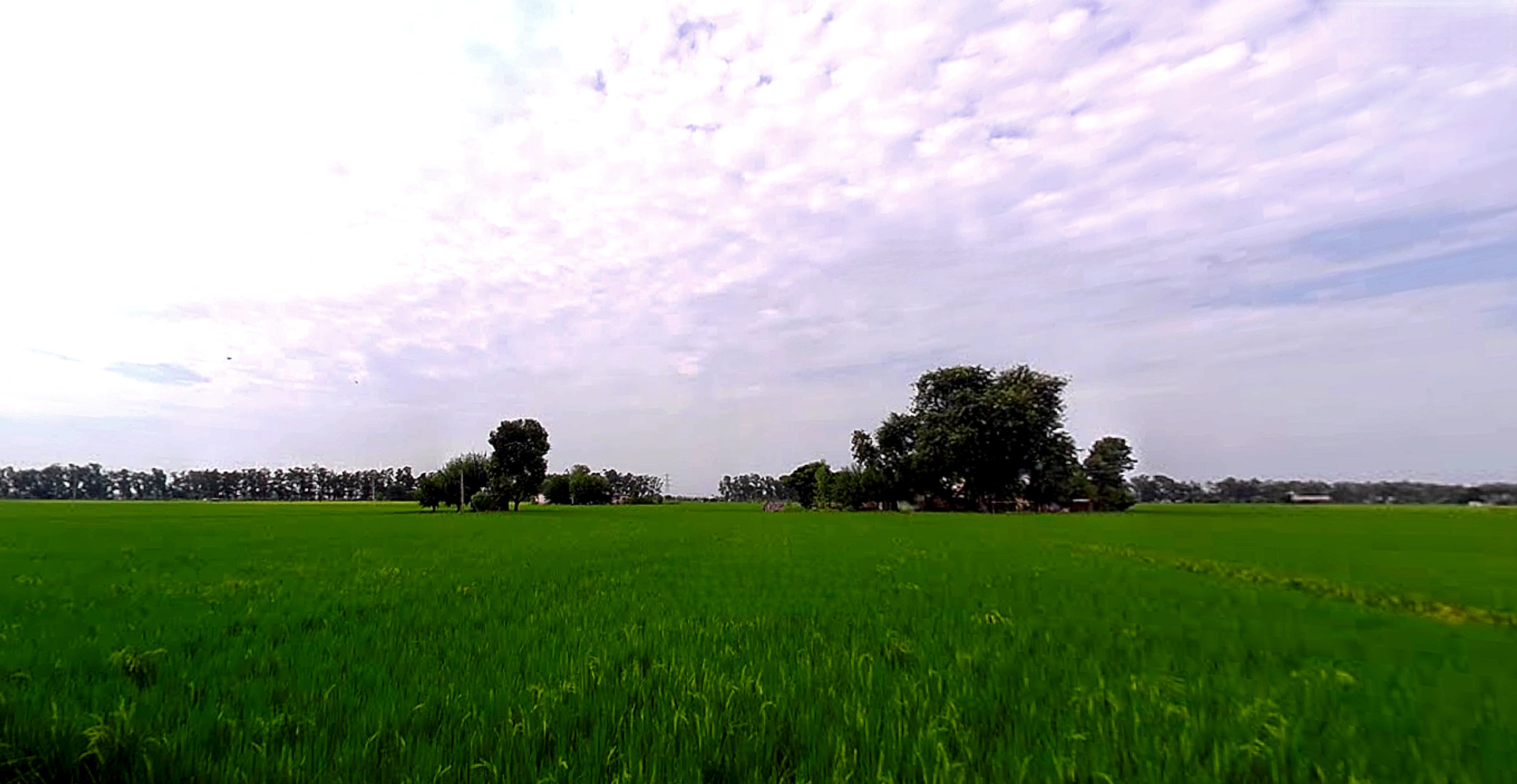 Amargarh, Punjab 148022, India