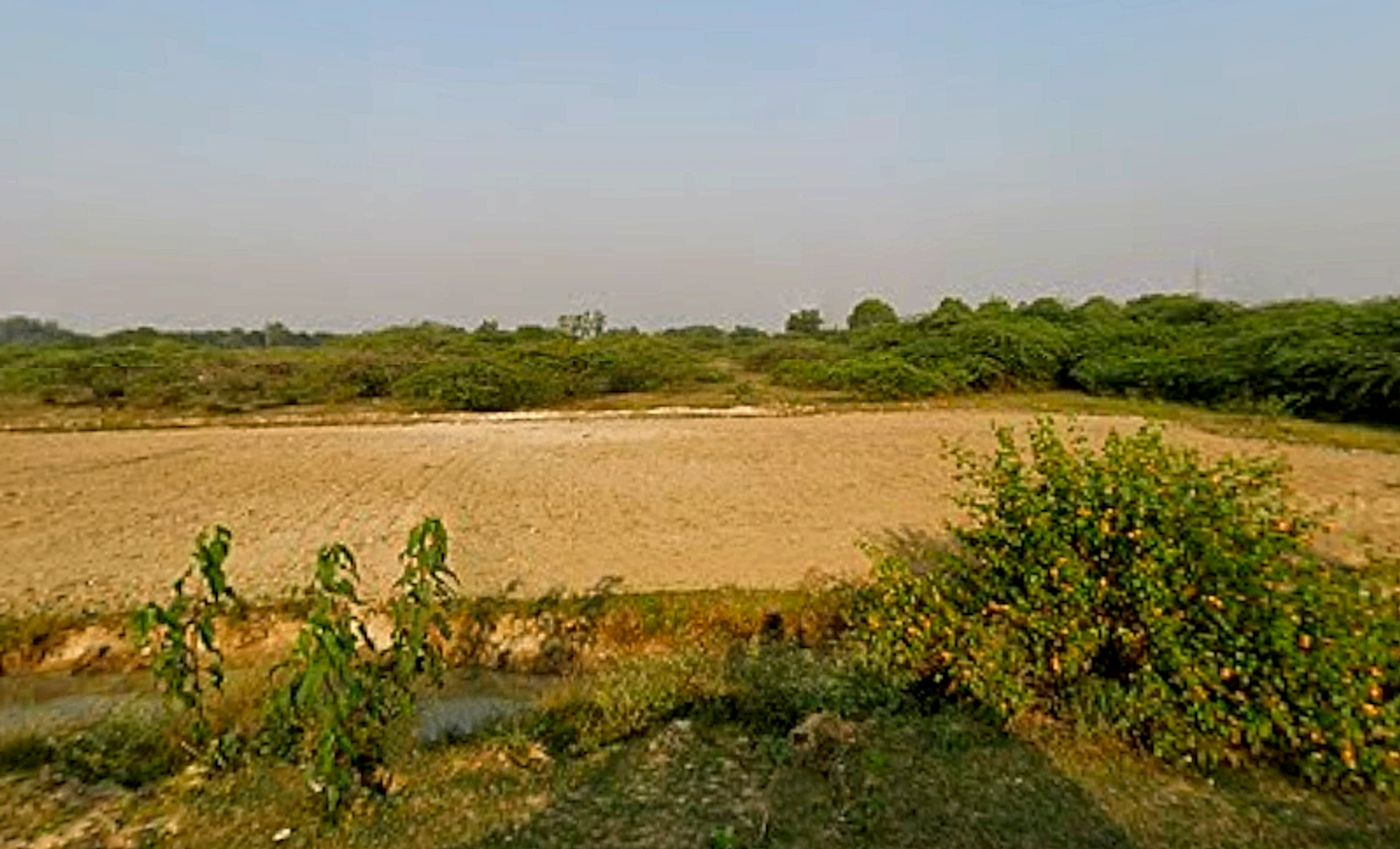 Khujauli, Uttar Pradesh 226301, India