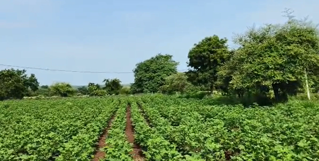 FV2C+VWQ, Vikarabad, Durgamcheru, Telangana, India