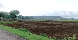 CHFM+82J, Ambari, Madhya Pradesh 464651, India preview 4
