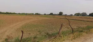 Mahoba, Uttar Pradesh 210427, India preview 2
