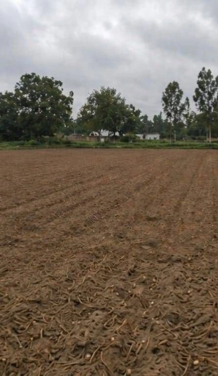 Barhana, Uttar Pradesh, India preview 2