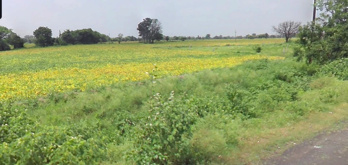 Deora Khedi, Madhya Pradesh 453115, India