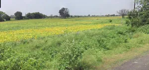 Deora Khedi, Madhya Pradesh 453115, India preview 2