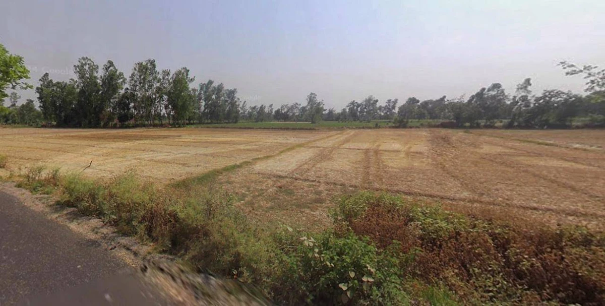 Kalanaur, Haryana 124113, India