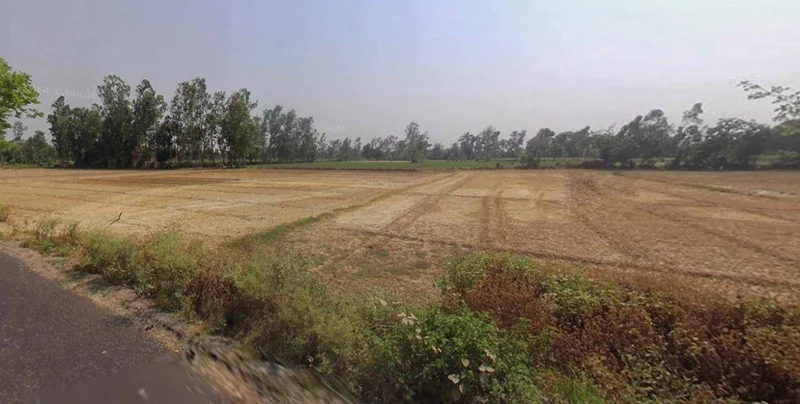 Kalanaur, Haryana 124113, India preview 2