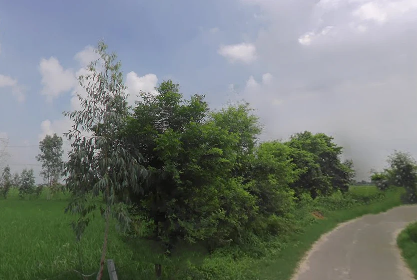 Pala, Uttar Pradesh, India