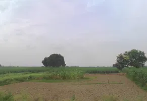 Puttha Rd, Rithani West, Phase-II, Industrial Area, Mohkam Pur, Meerut, Uttar Pradesh, India preview 3