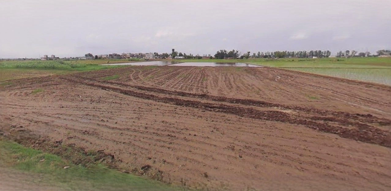 Mohanlalganj, Uttar Pradesh 226301, India